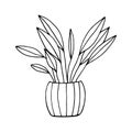 houseplant in a pot icon hand drawn. , minimalism, scandinavian, monochrome, nordic. sticker, spathiphyllum, plant