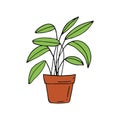 houseplant in a pot icon hand drawn. vector, minimalism, scandinavian, doodle, cartoon. sticker, spathiphyllum, plant