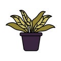 Houseplant in pot isolated icon