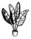Houseplant in potted vector whimsical illustration on isolated background