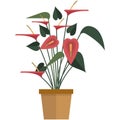 Houseplant with red flower and green leaves flat vector