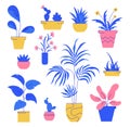 Houseplant set