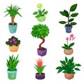 Houseplant set, plants and flowers vector illustrations Royalty Free Stock Photo