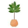 Houseplant tree icon cartoon vector. Urban jungle Royalty Free Stock Photo