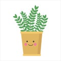 Houseplant in yellow pot with face