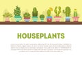 Houseplants Banner Template with Cute Cactus and Succulent Plants and Space for Text Vector Illustration Royalty Free Stock Photo