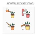 Houseplants care color icons set
