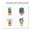 Houseplants care color icons set