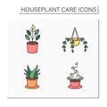 Houseplants care color icons set