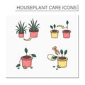 Houseplants care color icons set