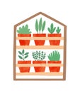 Houseplants in ceramic pots flat vector illustration. Succulents, domestic decorative greenery. Flower growing, home Royalty Free Stock Photo
