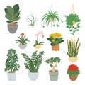 Houseplants collection isolated on white background. Home garden. Vector illustration in the of hand-drawn flat Royalty Free Stock Photo