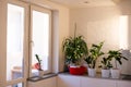 Houseplants in different designed flowerpots on a cabinet.