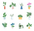 Houseplants flat color vector objects set