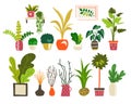 Houseplants flat illustrations vector set. Hand drawn flower pots with ornamental indoor plants Royalty Free Stock Photo