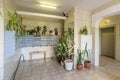 Houseplants in the hallway of multi-storey buildings, flowers from porches
