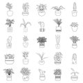 Houseplants in pots. Black and white illustration. Set. Seamless patterns. Creative flower shop decoration design or flower