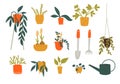 Houseplants in pots, different green plants and care tools. Urban jungle collection. Vector flat doodle illustration set