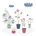 Houseplants in pots in hand drawn style isolated on a white background. The rain is watering the flowers.