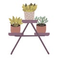Houseplants on a purple stand, three potted plants with different patterns and leaves. Indoor gardening and home decor