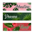 Houseplants Realistic Banners