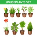 Houseplants Realistic Icons Set