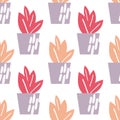 Houseplants seamless pattern Royalty Free Stock Photo