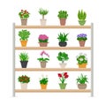 Houseplants On Shelves Illustration