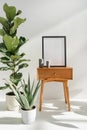 Houseplants standing near side table with blank picture frame Royalty Free Stock Photo