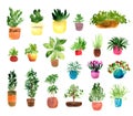 Houseplants watercolor set