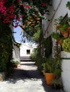 Houses with flowers in Salobrena, Spain Royalty Free Stock Photo