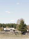 Houses in the Altai village next to a pine tree