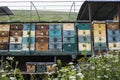 Houses of the bees are placed on the green grass in the mountains. row of bee hives in a field in mountains Royalty Free Stock Photo