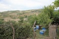 houses with bees stand in the garden, apiary