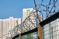 Houses behind a barbed wire fence Royalty Free Stock Photo