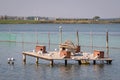 Houses for birds in a lake