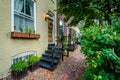 Houses and brick sidewalk in the Old Town of Alexandria, Virginia. Royalty Free Stock Photo