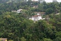 Houses built on a slope in the rainforest Royalty Free Stock Photo