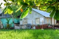 Houses in Caribbean town, Livingston, Guatemala