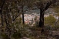 Houses of the city of Makarska are seen through the foliage at a nearby hill