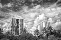 Houses on cloudy sky in miami, usa. Apartment or hotel buildings in garden with green palm trees. Architecture and real Royalty Free Stock Photo