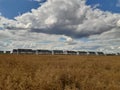 Houses in the field, Poland Royalty Free Stock Photo