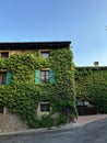 Houses with green facade