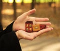 Houses in hands Royalty Free Stock Photo