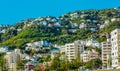 Houses on a hill side Wellington, city, Wellington, New Zealand