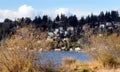 Houses on hills to the north of Juanita Bay