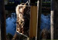 Houses for insects, hotels for lone bees, attracting beetles and butterflies for moths and butterflies. in a city park in a housin Royalty Free Stock Photo