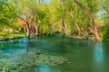 Houses line  the waters edge of Lake Ransom Canyon Royalty Free Stock Photo