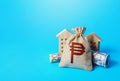 Houses and philippine peso money bag. Asset, financial resource management. Building up capital, saving from inflation risks.