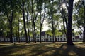 Houses in Princely Beguinage Ten Wijngaerde complex in Bruges, Belgium Royalty Free Stock Photo